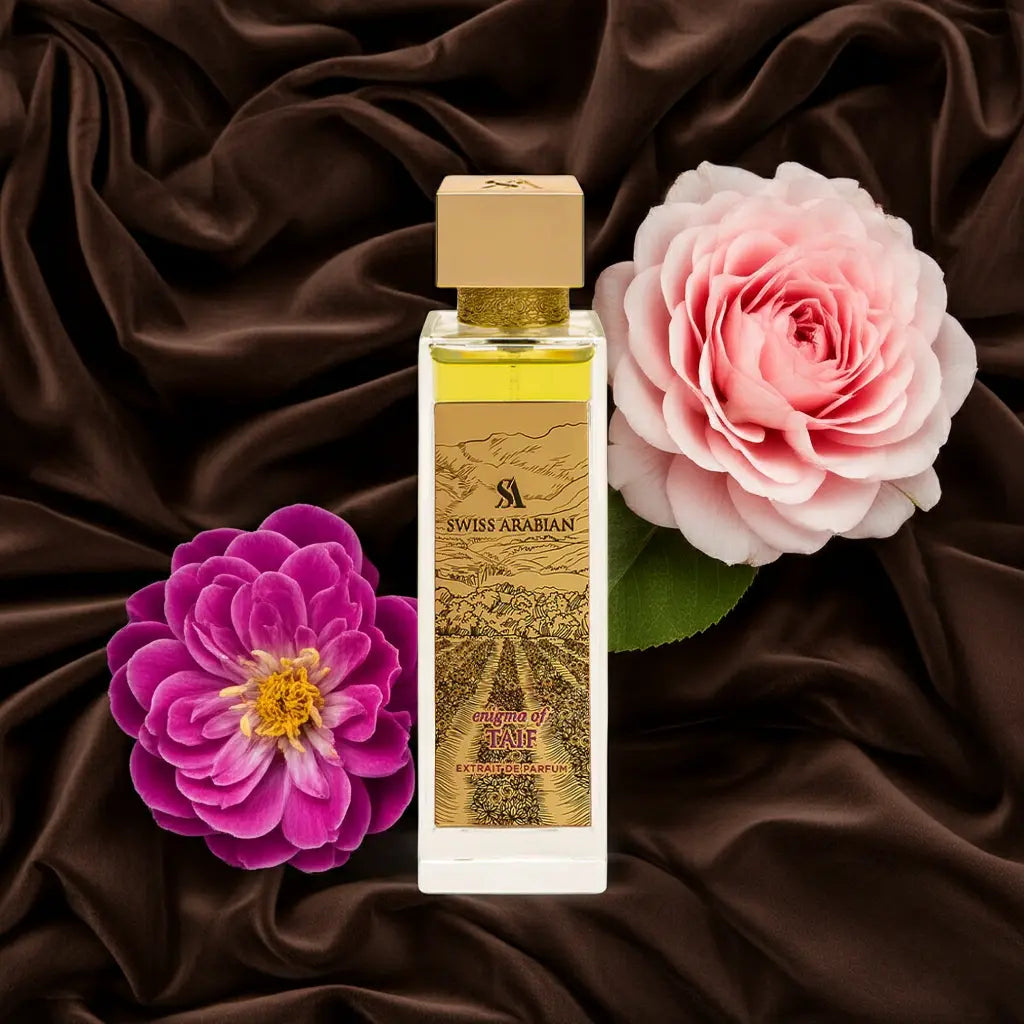 Enigma of Taif Swiss Arabian